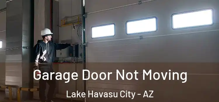  Garage Door Not Moving Lake Havasu City - AZ